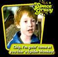 Spyder Monkeez Image-large